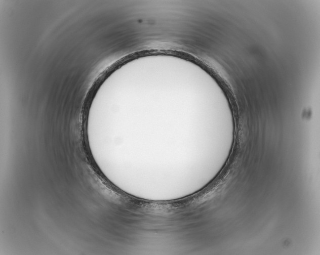 X0000091070831200709041218
