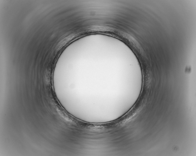 X0000091070833200709041218