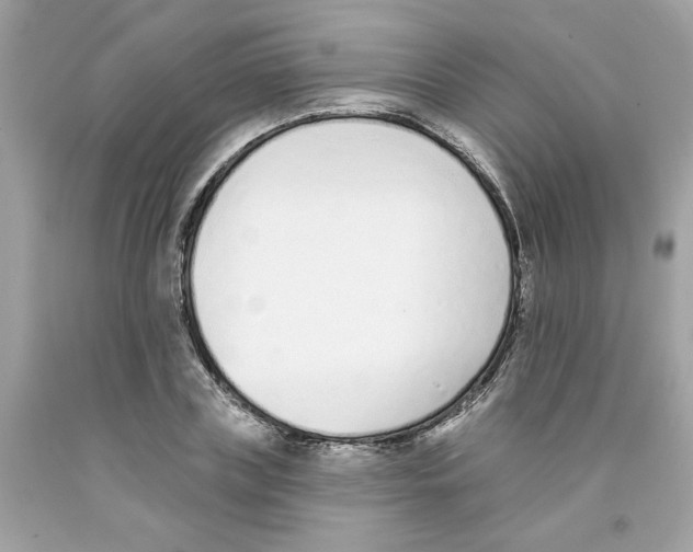 X0000091070835200709041218