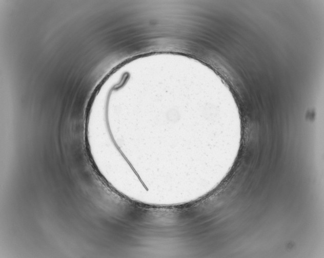 X0000091070836200709041218