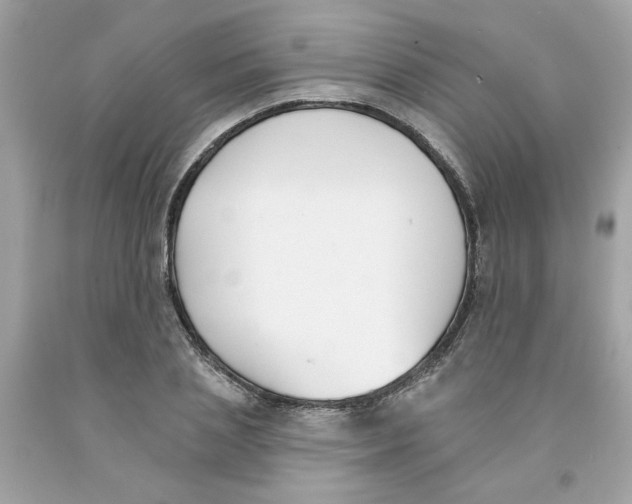 X0000091070837200709041218