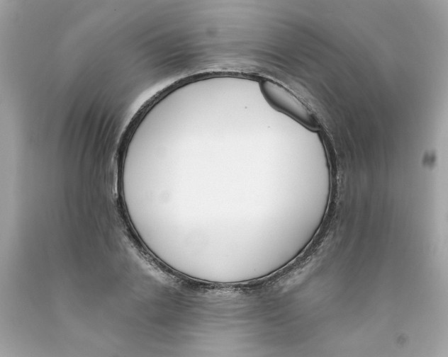 X0000091070838200709041218