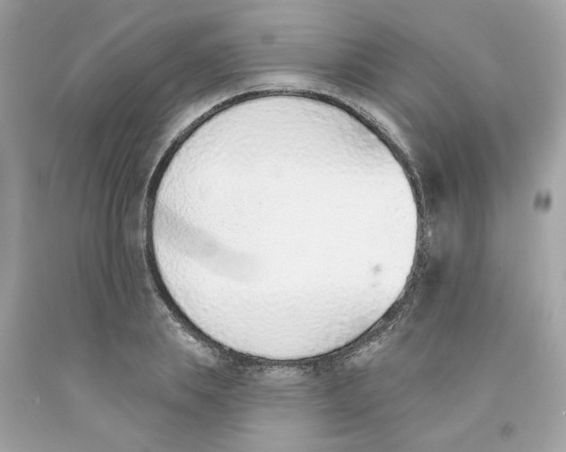 X0000091070839200709041218