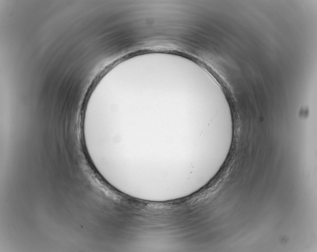 X0000091070840200709041218
