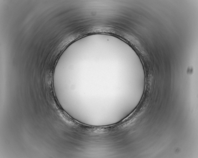 X0000091070841200709041218