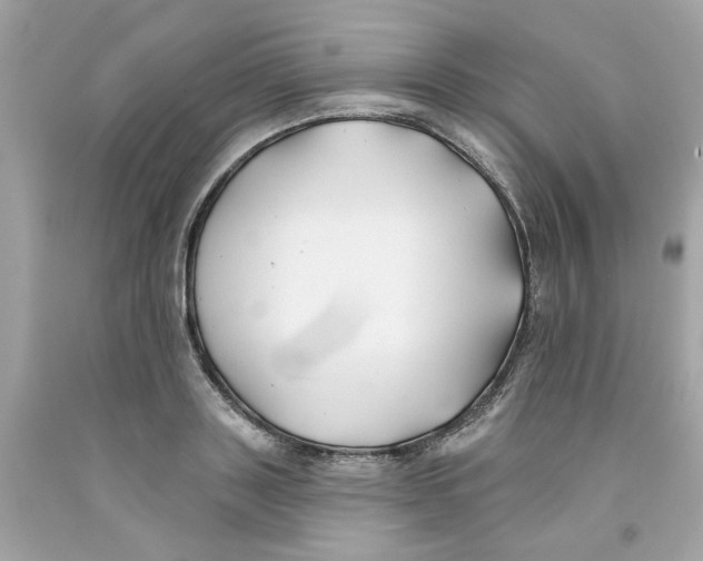 X0000091070843200709041218