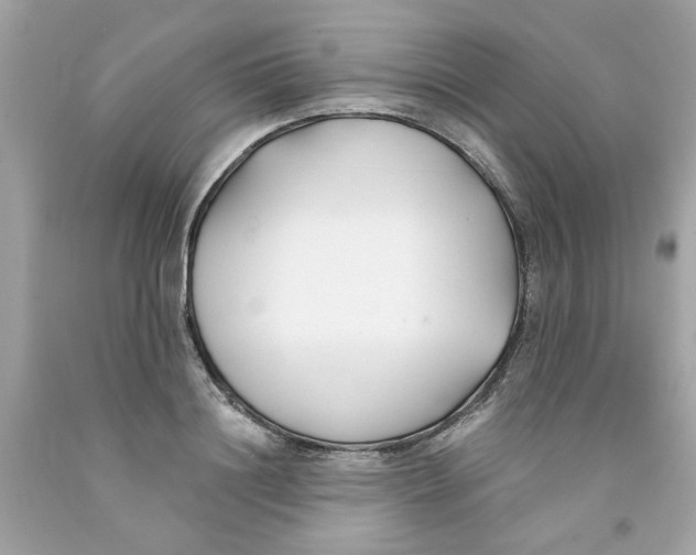 X0000091070844200709041218