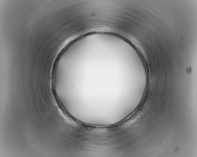 X0000091070845200709041218