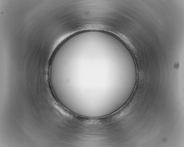 X0000091070846200709041218