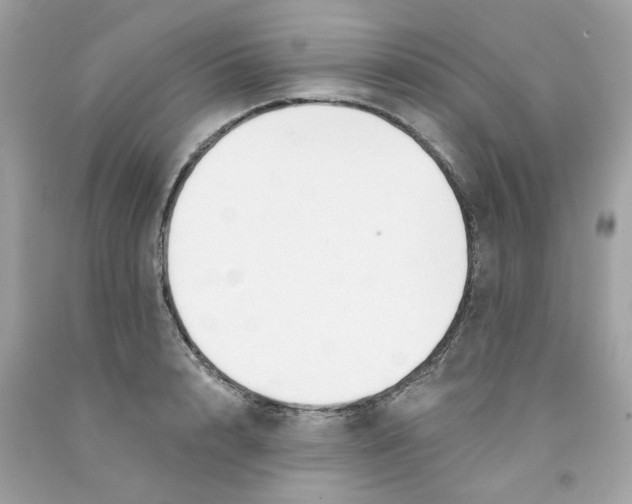 X0000091070848200709041218
