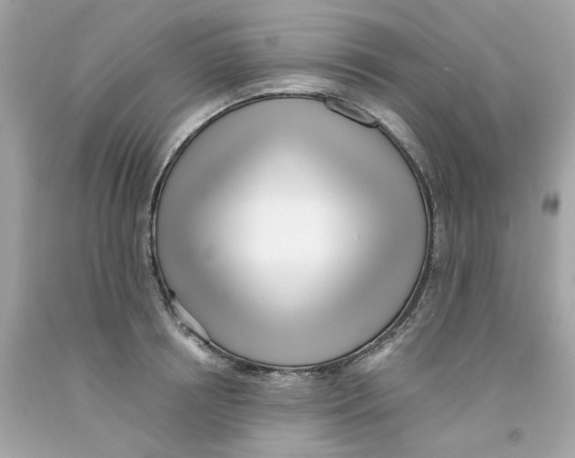 X0000091070850200709041218