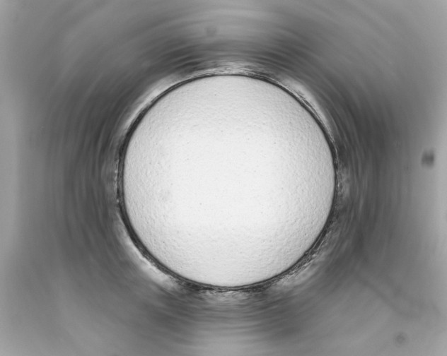 X0000091070851200709041218