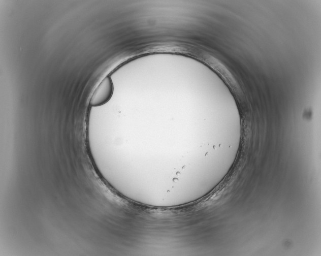 X0000091070852200709041218