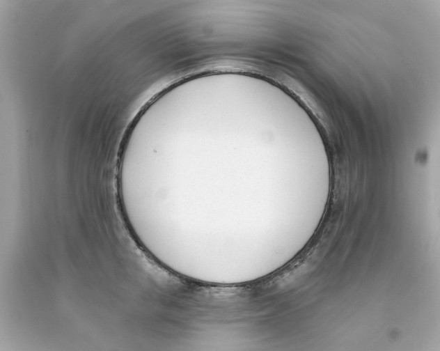 X0000091070853200709041218