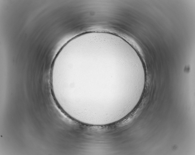 X0000091070855200709041218