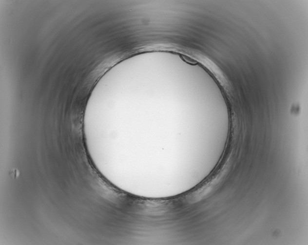 X0000091070857200709041218