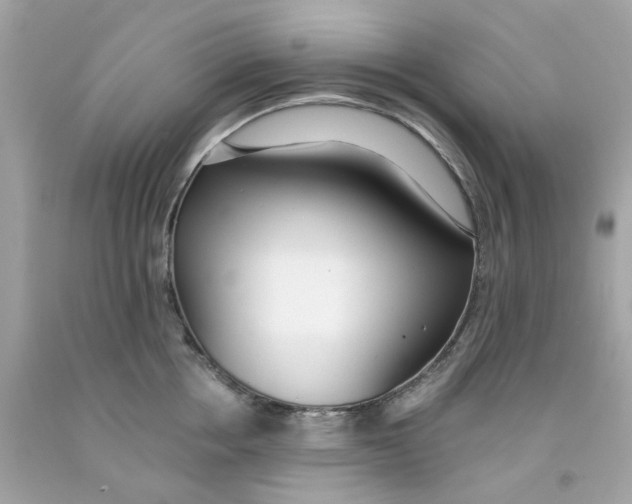 X0000091070858200709041218