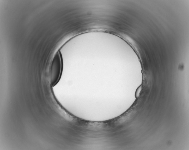 X0000091070859200709041218