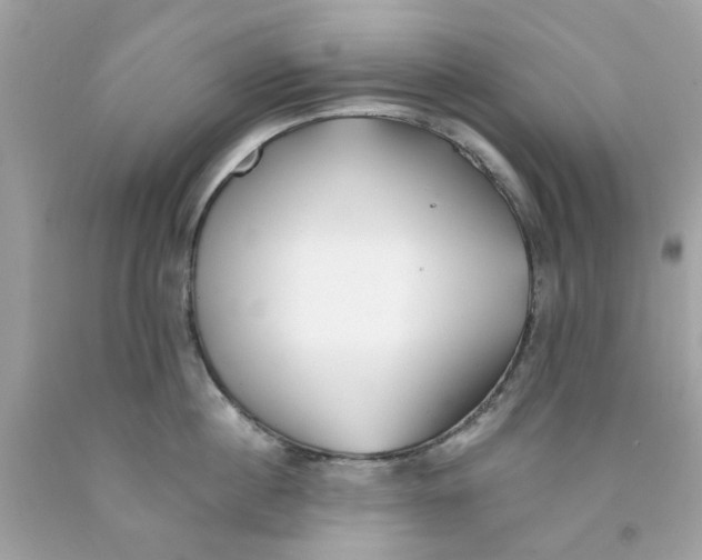 X0000091070860200709041218