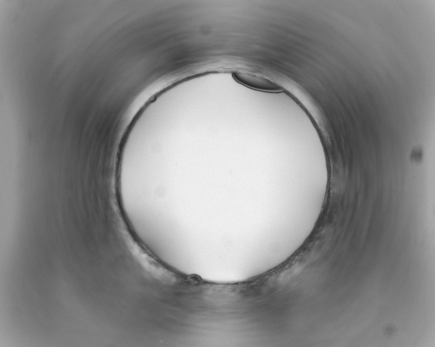 X0000091070861200709041218
