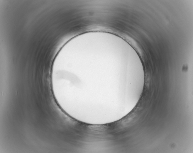 X0000091070863200709041218