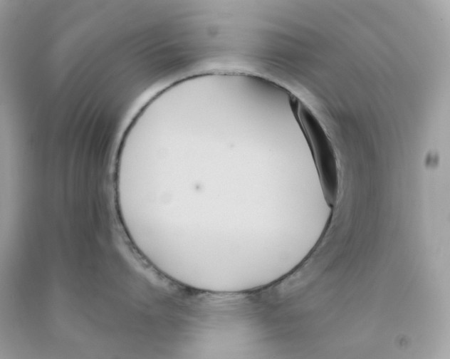 X0000091070864200709041218