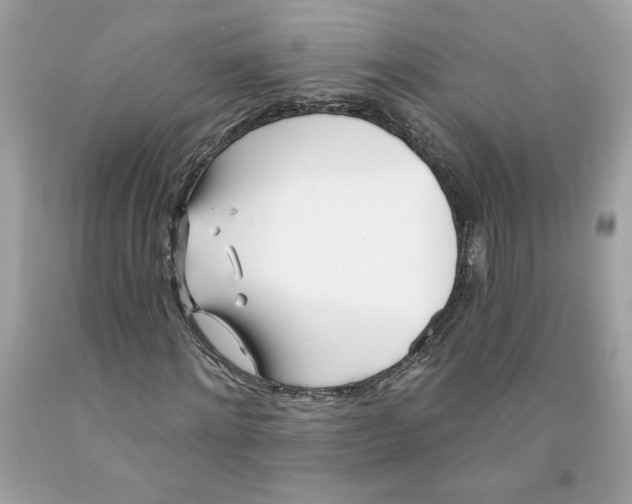 X0000091070868200709041217