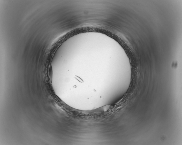 X0000091070872200709041217