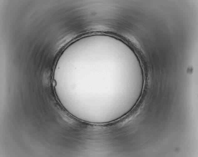 X0000091070873200709041217