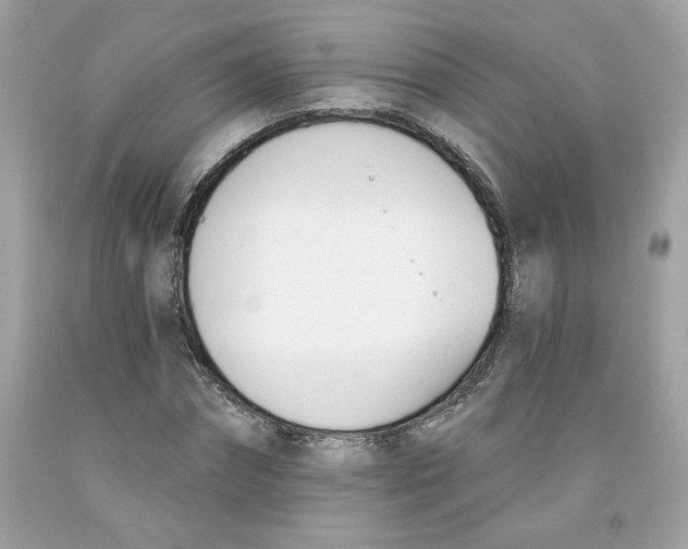 X0000091070874200709041217