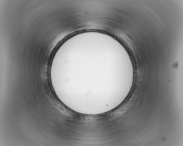 X0000091070875200709041217