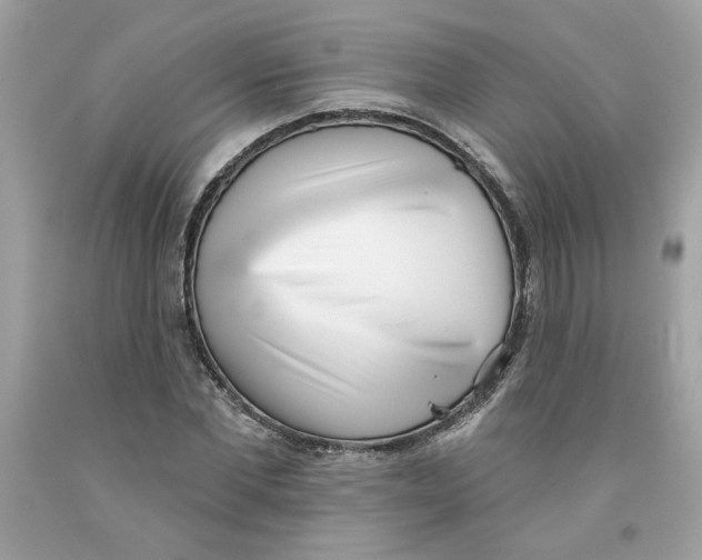 X0000091070877200709041217