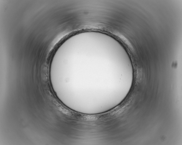 X0000091070878200709041217