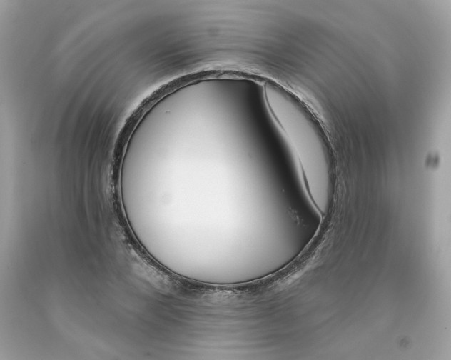 X0000091070880200709041217