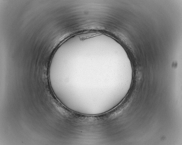 X0000091070881200709041217