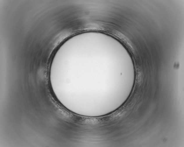 X0000091070882200709041217