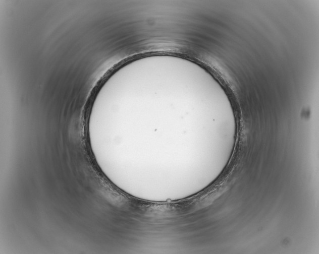 X0000091070883200709041217