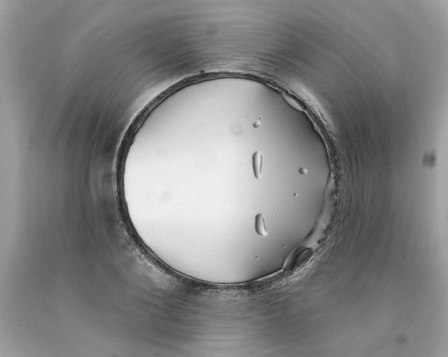 X0000091070884200709041217