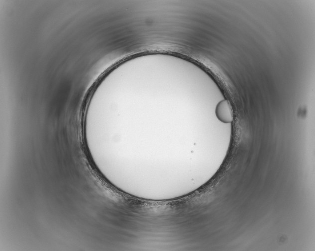 X0000091070886200709041217