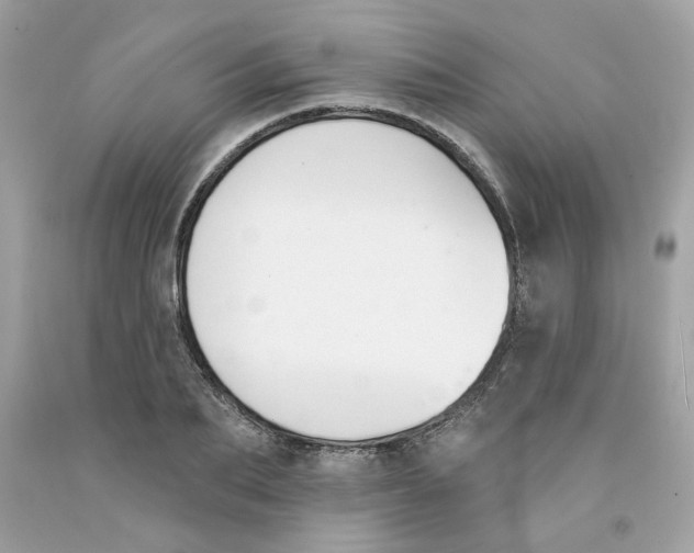 X0000091070887200709041217