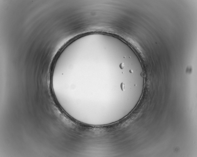 X0000091070888200709041217