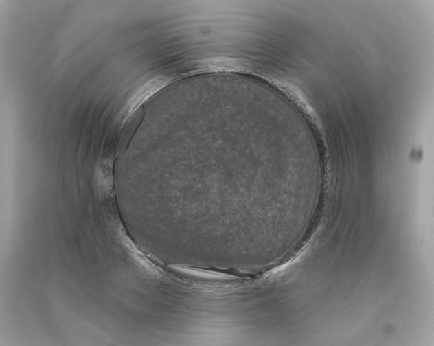 X0000091070889200709041217