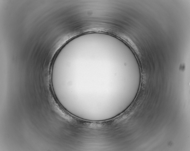 X0000091070890200709041217