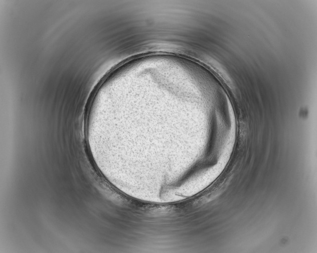 X0000091070891200709041217