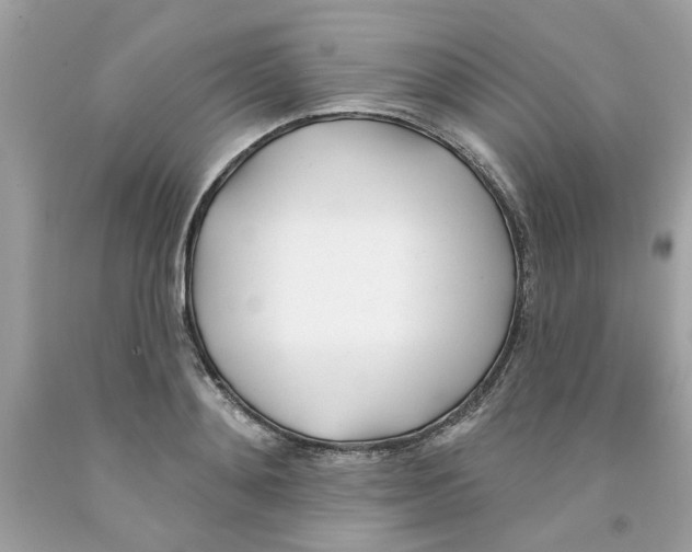 X0000091070892200709041217