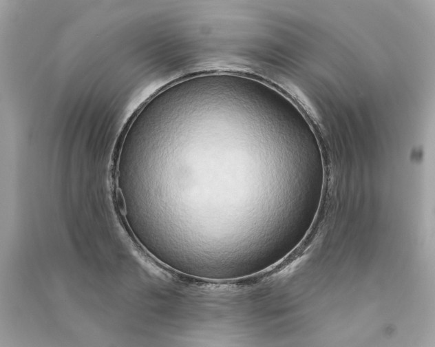 X0000091070893200709041217