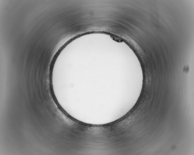 X0000091070894200709041217