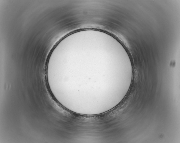 X0000091070895200709041217