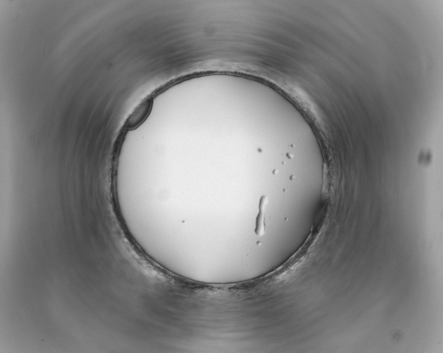 X0000091070896200709041217