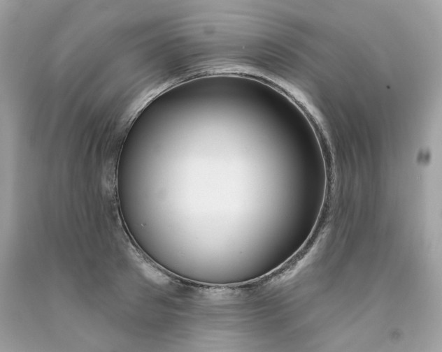 X0000091070897200709041217